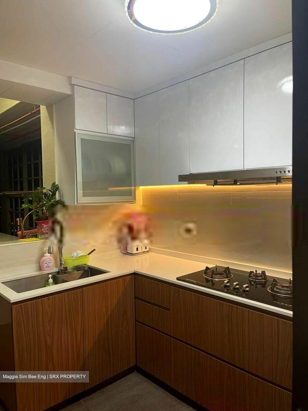 Modena (D18), Condominium #399258631